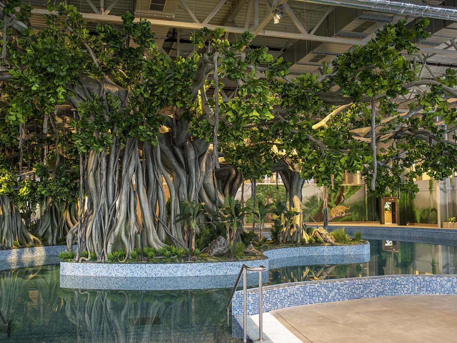 Amazonia Complex Amazonia, primul complex de tip aquapark din Banat, se deschide la ...