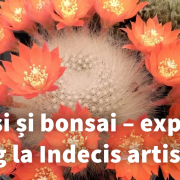 Fără titlu