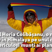 Fără titlu-8